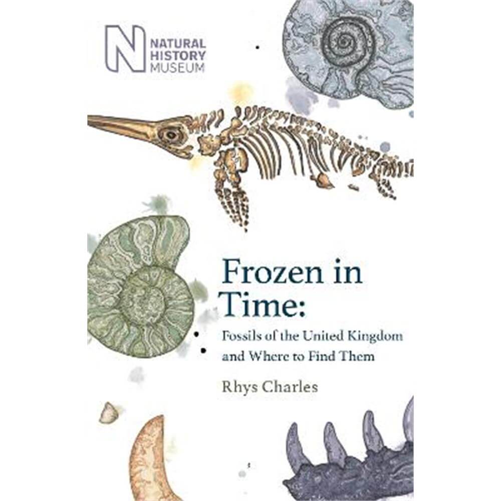 Frozen in Time: Fossils of the United Kingdom and Where to Find Them (Hardback) - Rhys Charles